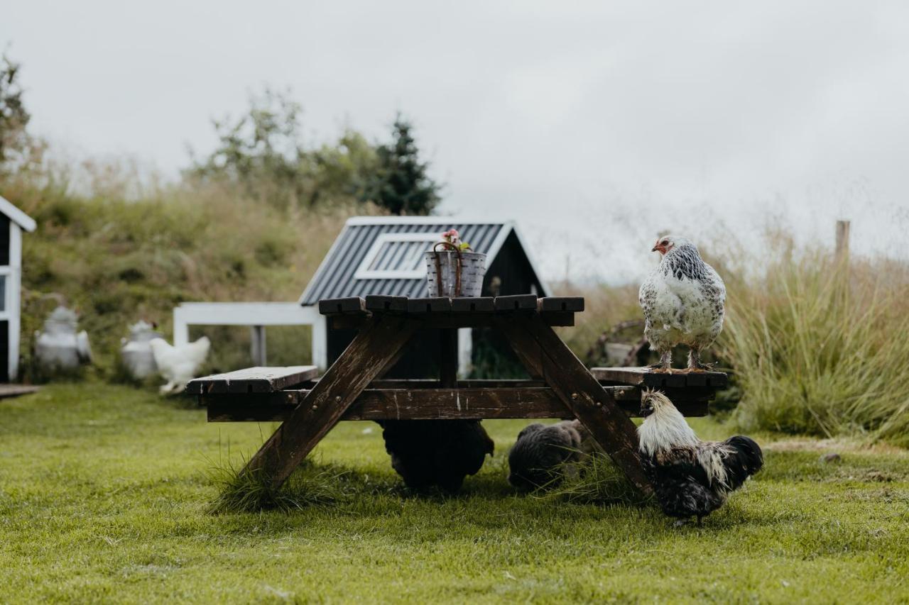 Brúnastaðir Holiday Home Barð Dış mekan fotoğraf
