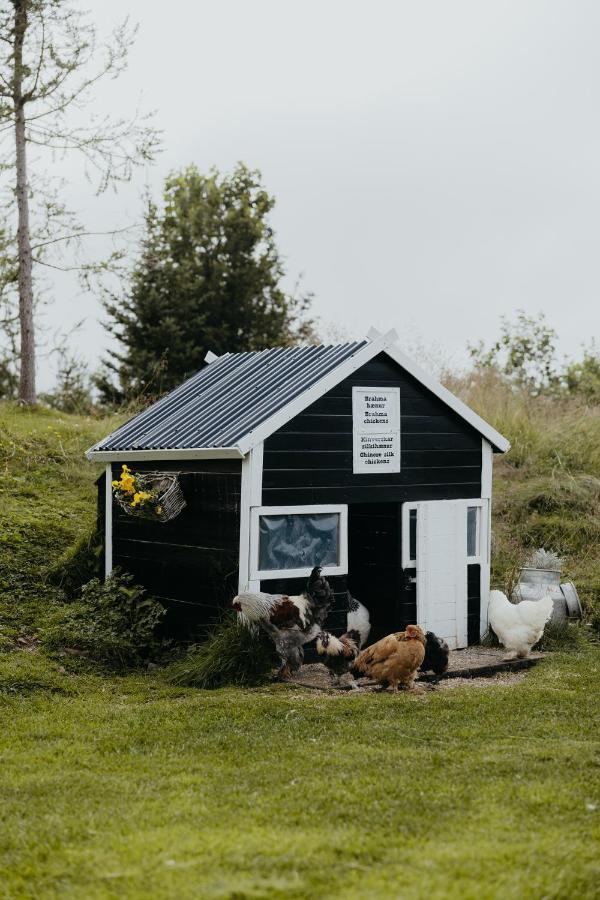 Brúnastaðir Holiday Home Barð Dış mekan fotoğraf