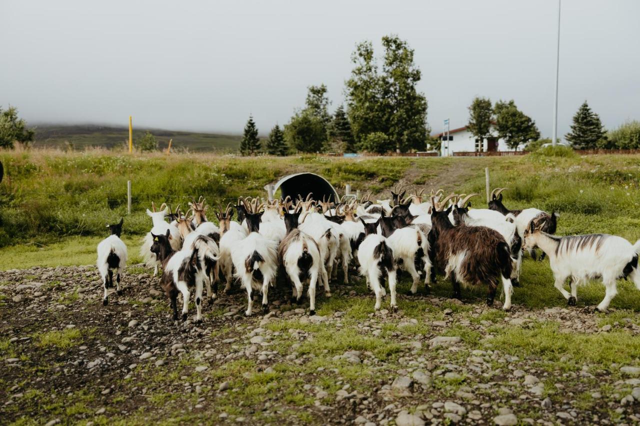 Brúnastaðir Holiday Home Barð Dış mekan fotoğraf