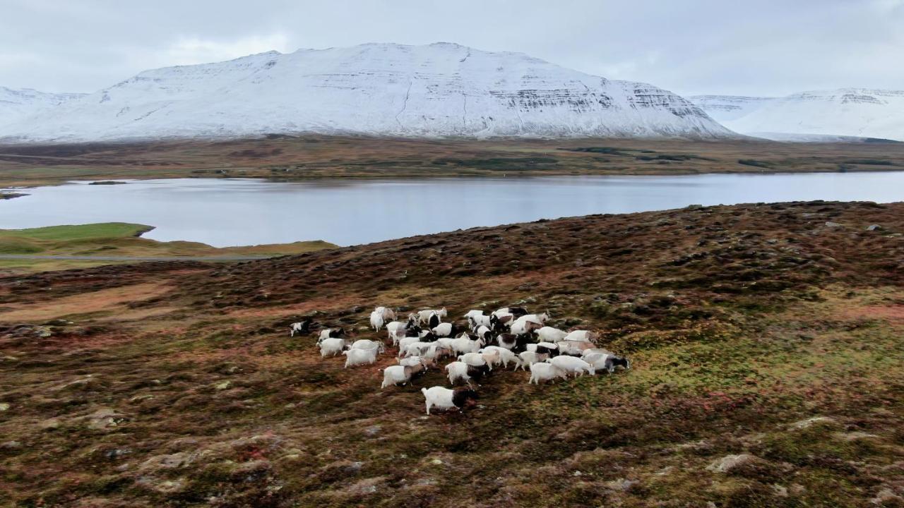 Brúnastaðir Holiday Home Barð Dış mekan fotoğraf